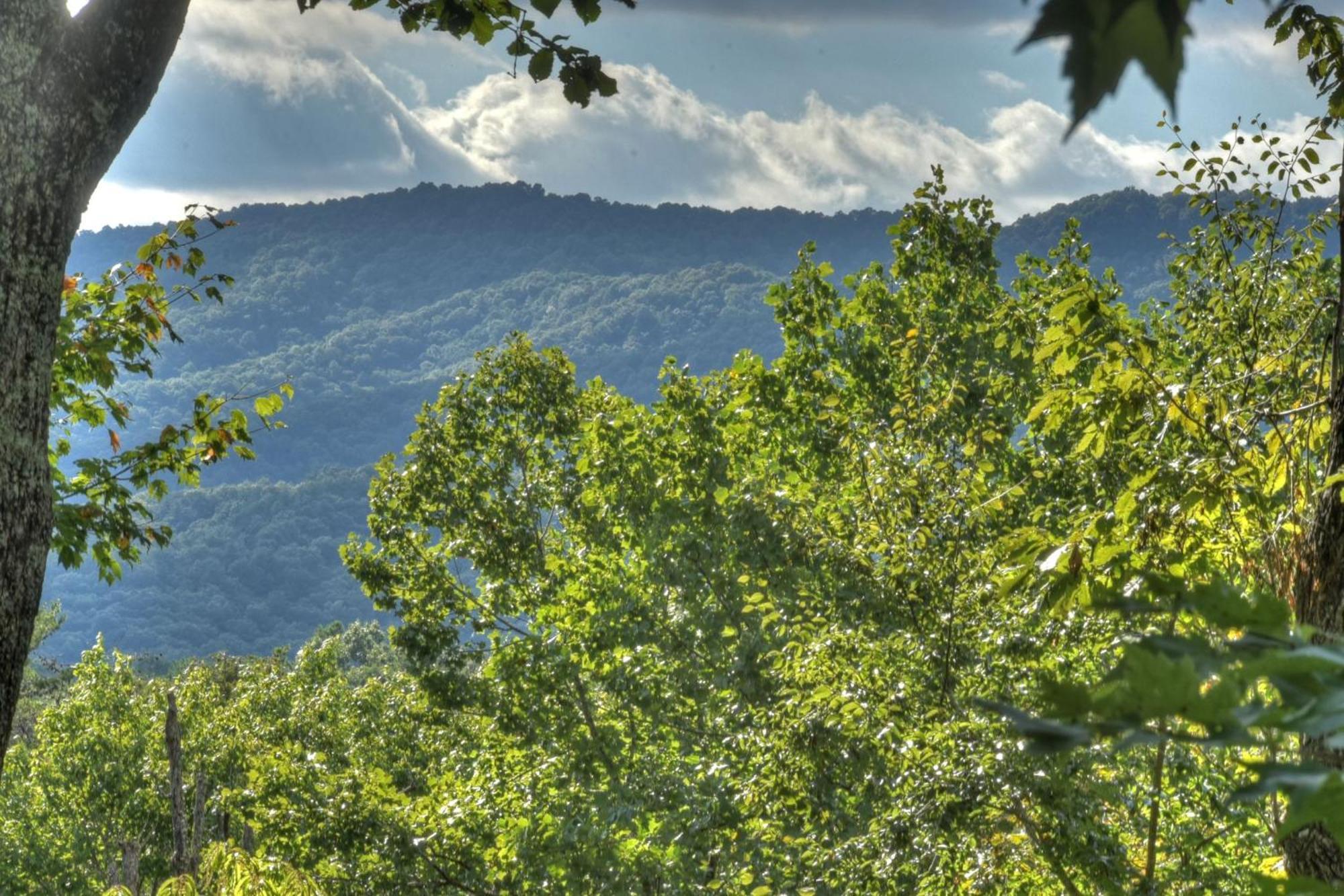 Bearfoot Ridge Wood-Burning Fireplace Cozy Hot Tub Serene Views Ellijay Bagian luar foto